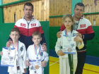 Воспитанники Игоря Виниченко успешно выступили на кубке Дона по тхэквондо
