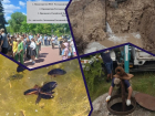 Водный коллапс в Зимовниковском районе и охота жуков-плавунцов: главные новости недели