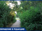 «Живая изгородь на Гагарина нуждается в уходе»: волгодончанка 