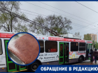 И на общественном транспорте прокатился, и в душ сходил: троллейбус затопило в Волгодонске