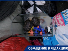 «Насколько нужно быть бездушными, чтобы так поступить?»: красноухих черепах выбросили на мусорку в Волгодонске