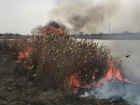 В Волгодонске приступили к контролируемому палу сухой растительности