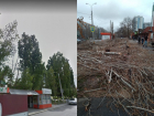 Деревья в новой части Волгодонска были вырублены по заказу «Водоканала» для ремонта канализации