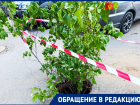 Открытый люк закрыт кустом: жители в шоке от «креативного» решения проблемы с канализацией 