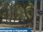 Спиливание деревьев напротив ТК «Сказка» вызвало массу вопросов у волгодонцев 