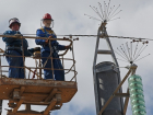Программу защиты птиц от ударов электрическим током запустили в Цимлянском районе