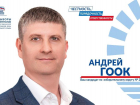 Андрей Гоок: Моя первая избирательная кампания и почему я иду в депутаты