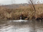 Ростовская область заберет себе трубу, сливающую в реку неочищенные фекалии жителей Цимлянска
