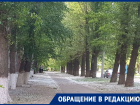 Вырубать старые тополя и сажать вместо них другие деревья призвали аллергики в Волгодонске