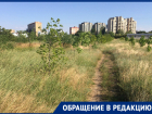 Высокая трава в парке «Молодежный» вызывает опасения у жителей Волгодонска