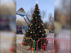В сквере «Дружба» появилась новогодняя елка