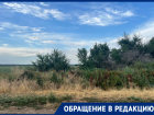 «Трава всё выше, скоро зацветёт амброзия»: жители хутора Ильинов жалуются на соседа-фермера
