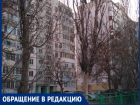 Десять месяцев во дворе Волгодонска не могут спилить сухие деревья