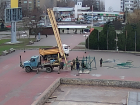 Праздник к нам приходит: в Волгодонске устанавливают городскую елку