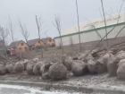«На улице -6 и снег, а в Волгодонске сажают деревья»: местные жители выражают негодование