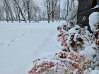 Север Ростовской области засыпало снегом: ждать ли его в Волгодонске