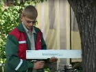 Резистограф для диагностики деревьев в Волгодонске собираются использовать после их падения