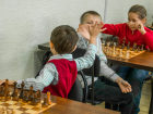 Волгодонские малыши приняли участие в соревнованиях по быстрым шахматам