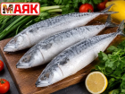 Товар дня: скумбрия свежемороженая  за 199,90 ₽/кг