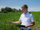 В Зимовниковском районе суд обязал арендатора убрать сорняки с 26 га сельхозземель
