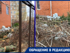 «Где штрафы предпринимателям?»: волгодонцы возмущены массовой рубкой деревьев в центре города
