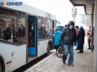 Бурные выходные и остаточный алкоголь: стало известно, почему по понедельникам в Волгодонске нет автобусов