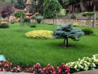 Все дачные земельные участки Волгодонска с нового года станут «садовыми домами»