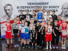 Ринг памяти и новые традиции: в Волгодонске определили лучших боксеров города