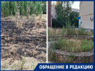 «Кто отвечает за этот сквер?»: жильцы ближайших домов утверждают, что за «Казаком» не убирают с прошлого года