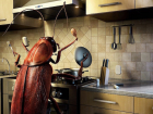 Несколько неожиданных способов избавления от тараканов