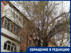 «Лампочка горит круглосуточно!»: жительница дома Ленина, 31 света белого не видит из-за старого дерева