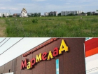 Отдаст ли общественность землю под ТРЦ «Мармелад» без боя – «Блокнот Волгодонска» покажет в прямом эфире