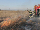 Камыш горит: в Волгодонске началось выжигание сухой растительности