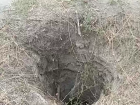 Собака провалилась в глубокий колодец в новом городе, она еще жива, туда же могут упасть дети