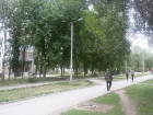 Бизнес проигнорировал просьбу высадить цветники на БВП