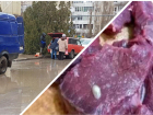 Смертоносные личинки: чем рискуют волгодонцы, покупая мясо «из багажника»
