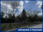 «Уже и крест на них поставили, а спилить не могут»: горожанка удручена клумбами отремонтированного бульвара 