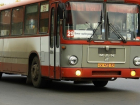 В Волгодонске запустили школьный автобус для юных дачников