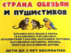 Экзотические обитатели тропиков прибыли в Волгодонск