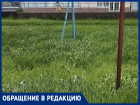 «Аллергики же просто задохнутся!»: горожанка шокирована травой по колено в центре города