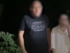 «Выращивал помидоры, а оказалась конопля»: владелец наркоплантации в станице Романовской был задержан полицией