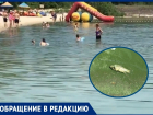 «Добро пожаловать на Цимлянское водохранилище»: местные жители боятся заходить в воду из-за дохлой рыбы