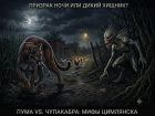 Все-таки пума или чупакабра: в Цимлянском районе  уже появляются настоящие легенды