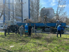В общегородском субботнике приняли участие почти 2000 работников Ростовской АЭС