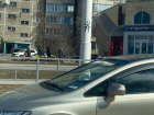 За незаконную торговлю мясом на тротуарах в Волгодонске составили 22 протокола