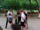 Толпа школьников-вандалов разбила клумбу с туей во дворе многоквартирного дома на Гагарина