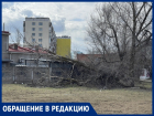 «Как уныло выглядит город!»: неубранный Волгодонск  вгоняет женщину в тоску