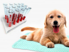 Ветеринарная клиника «ЗооМир»: спектр товаров и услуг для пушистых и хвостатых
