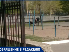 Утренняя прогулка мужчины с бойцовской собакой без намордника напугала волгодончанку
