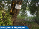 В садоводстве «Мичуринец» нашли способ борьбы с мусором